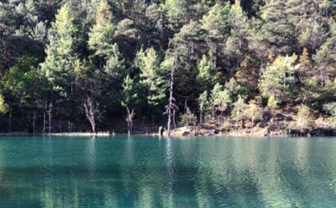 �������(zh��n)����