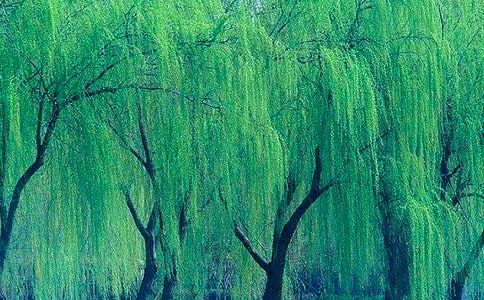 �Ґۼ��l(xi��ng)����������5ƪ�����x��