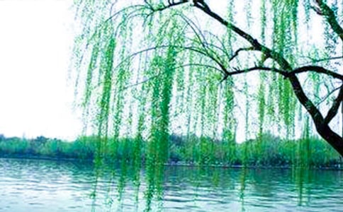 ���������600��9ƪ[��(y��u)��]