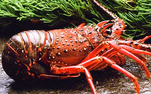 ����r��(y��u)������