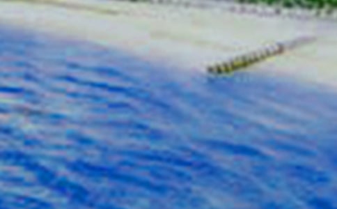 鄉(xiāng)村美景作文350字