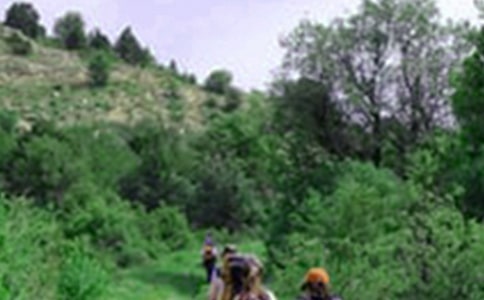 �P(gu��n)����ɽ����ӛ��ƪ