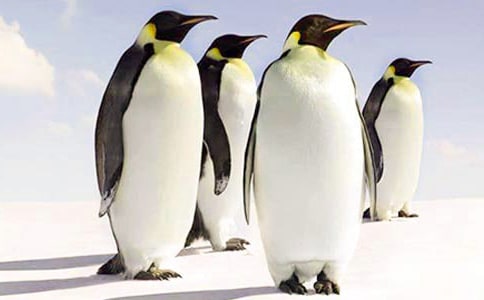 �������Z�x���