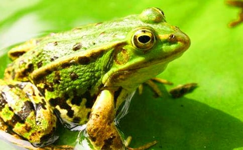 ���o(h��)���ܵ����ă�(y��u)��[15ƪ]