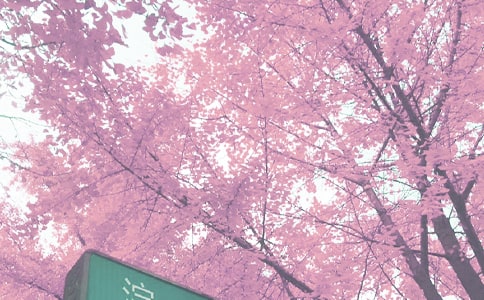 �Ґ��＾����(���\15ƪ)