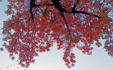 ����(y��u)�㣩����˽�Z����15ƪ