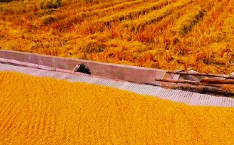 ���Ռ�(sh��)�`����