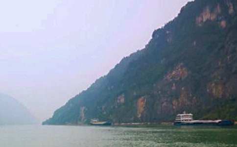 ���{����