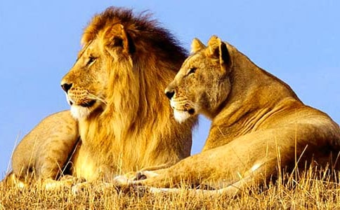 ���{�������^���(���\15ƪ)