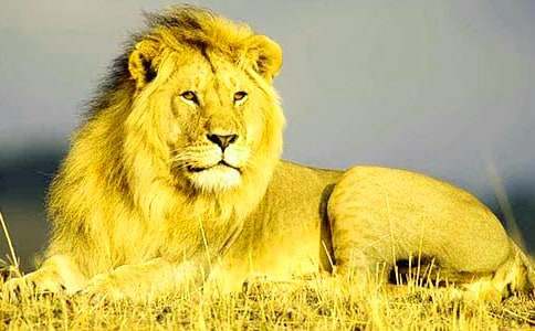 ���{�������^��� ����15ƪ