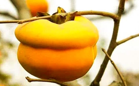 �Ґۼ��l(xi��ng)����������(ͨ��4ƪ)