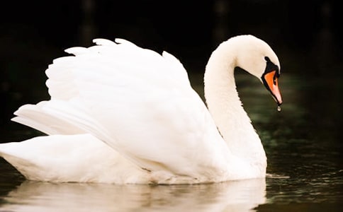 ����С̖�����Z���x��С��᡿