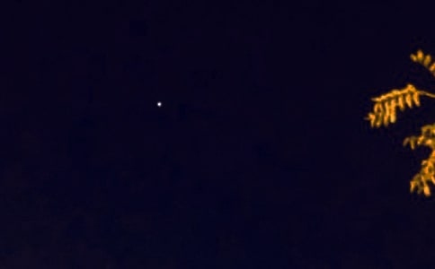 æһ�����������Z