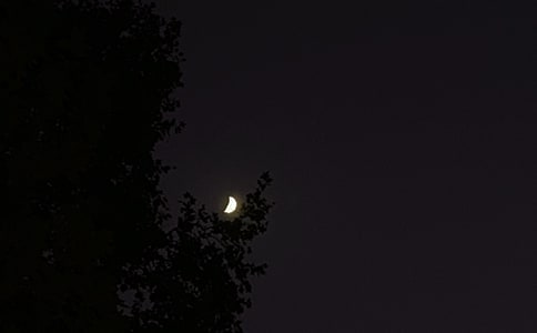 ���������õ����������Z����42�l