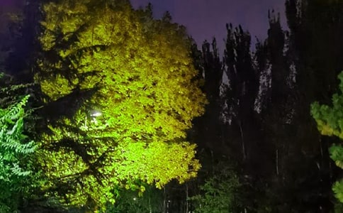 ��־�����f�f�R��185�侫�x