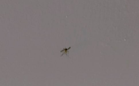 ����(y��u)�㡿���ӵ�����600��