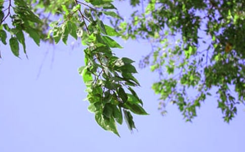 2021������ϵ�簲QQ�����Z�R��76�l