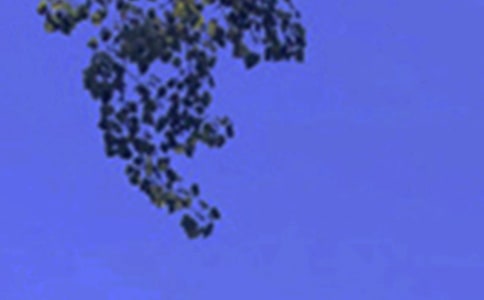 ��(y��u)�����簲���Z(y��)����ժ�56��