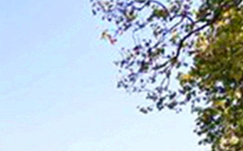 �簲���Z����71��