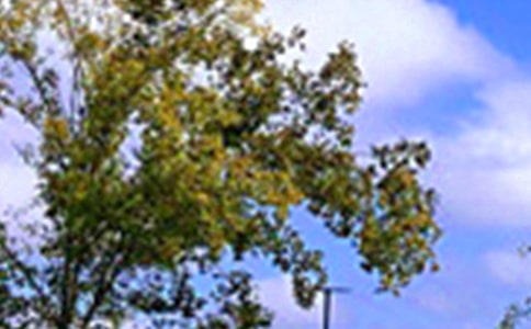 2026年溫暖的午安QQ問候語集合74句