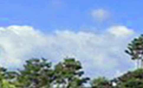 溫馨的午安心語(yǔ)短信67條