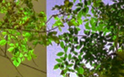 ��(g��)���簲�f�f��ͨ��40�䣩