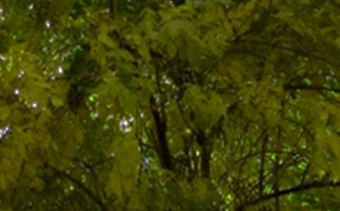 ��ܰ�簲�����Z�����x50�䣩