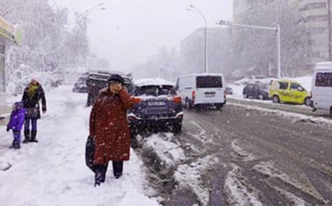 �P(gu��n)����ѩ��Ψ������15ƪ