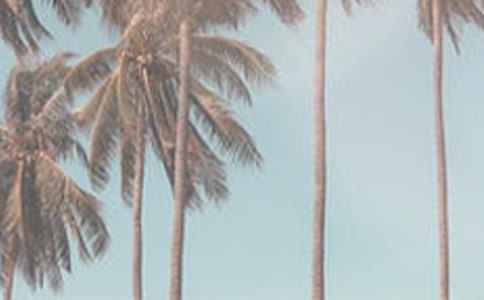 �ļ���(w��n)�����(�R��15ƪ)