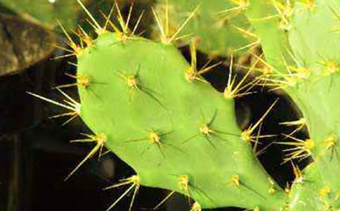 (��(j��ng)��)����������15ƪ