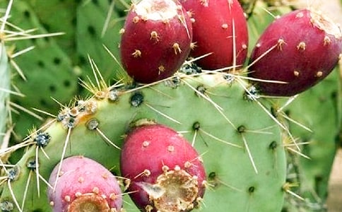 ����������15ƪ����Ʒ��