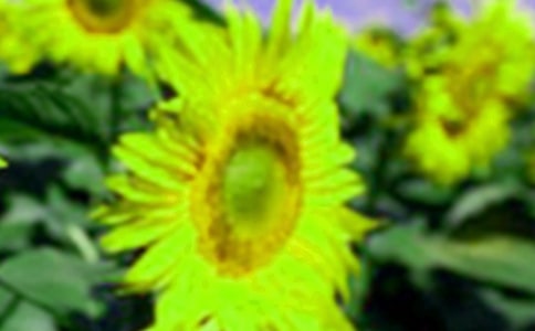 ���տ����ă�(y��u)��[15ƪ]