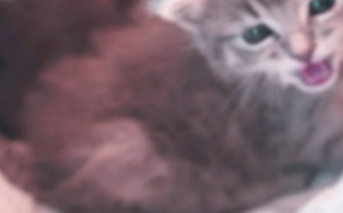 �ɐ۵�С؈��(y��u)������