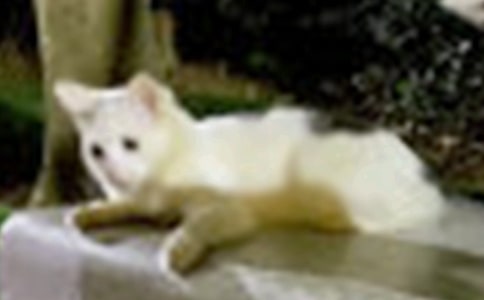 С�W��С؈����600���\����ƪ