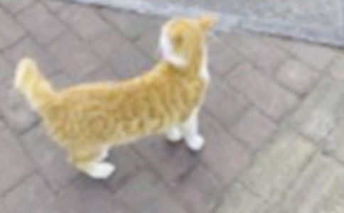 ���xС؈��(y��u)������400���\����ƪ