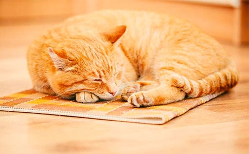 ���P(gu��n)С؈С�W(xu��)����400�ֺϼ�ʮƪ