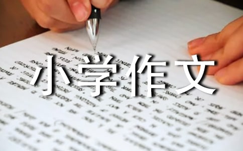 �������^��С�W����