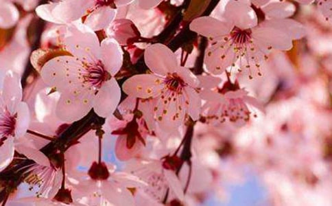 ٝ���ѻ���Ԋ(sh��)���ȫ