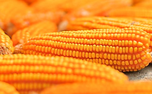 ����(y��u)�㣩����������