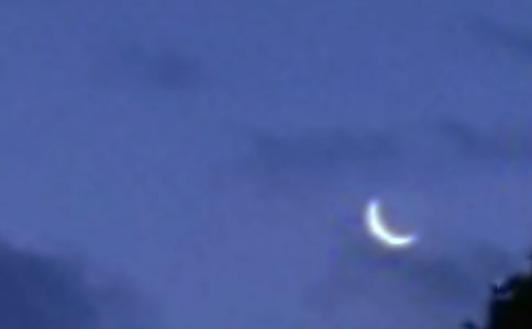 (實用)月亮作文300字