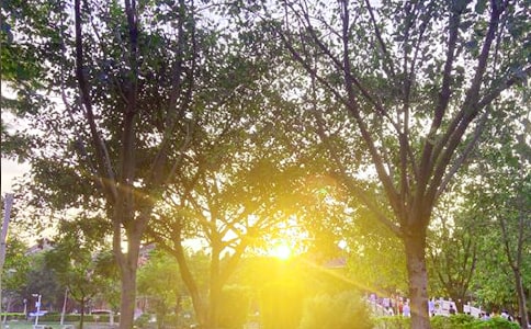 ���P(gu��n)����Ȧ�簲���ŅR����ͨ��100�䣩