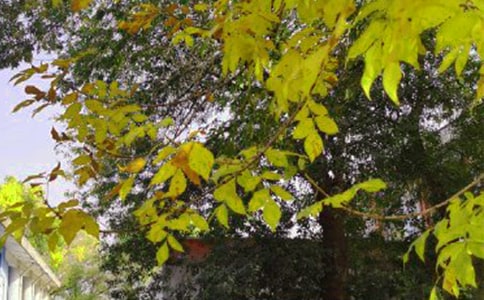 ���P(gu��n)��(l��)־�簲�f�f�R��120�侫�x