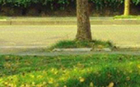 ���������õ��簲ף���Z����16��