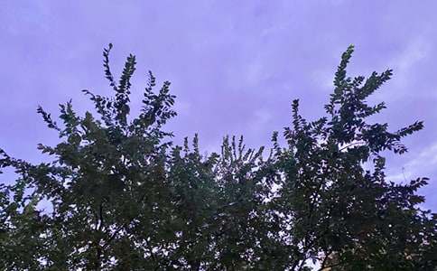 ���؂䡿���õ��簲ף���Z����ժ�34�l