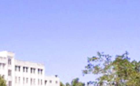 QQ���g�簲���Z