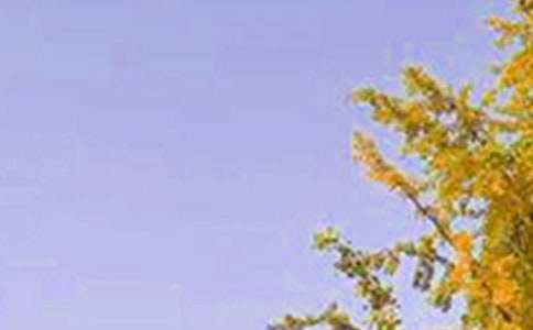 ��������Ȧ�簲�f�f40�侫�x