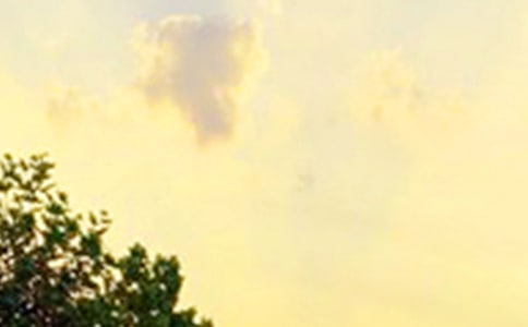 �����á����õ��簲ף���Z����ժ�51�l