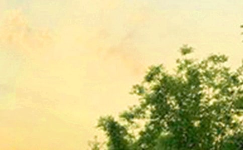 �������簲�f�f�R�������x115�䣩