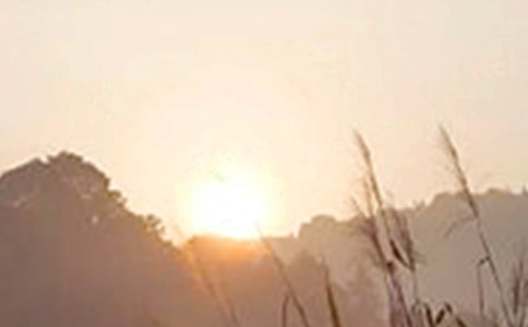 ���̵ă�(y��u)�����簲�����Z����36�l