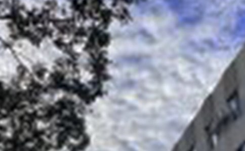 �P(gu��n)���簲��Ψ������